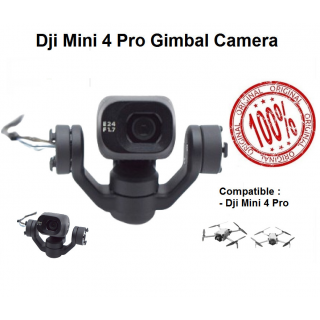 Dji Mini 4 Pro Gimbal Camera - Dji Mini 4 Pro Gimbal Kamera